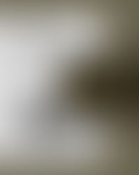 La Volpe arriva quando la soglia è sottile e il 18 dicembre è perfetto.