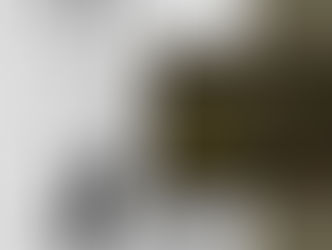 La Volpe arriva quando la soglia è sottile e il 18 dicembre è perfetto.