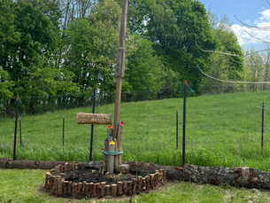 How Perch Poles Can Help Control Small Rodent Populations in Your Garden