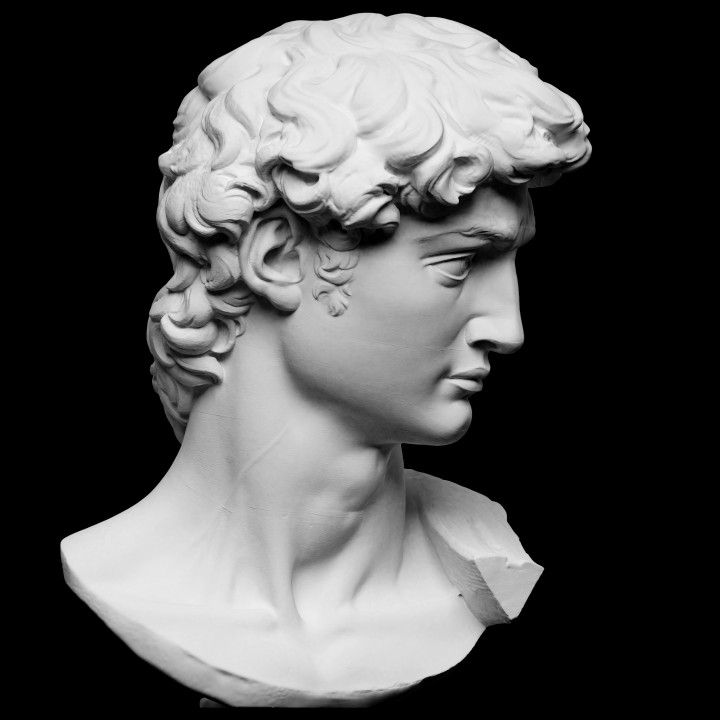 Davi Busto