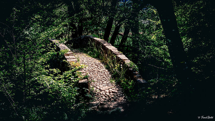 Le Ponts des Ânes (Tarn)