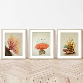 Whispers of the Reef - Coral Reverie Series