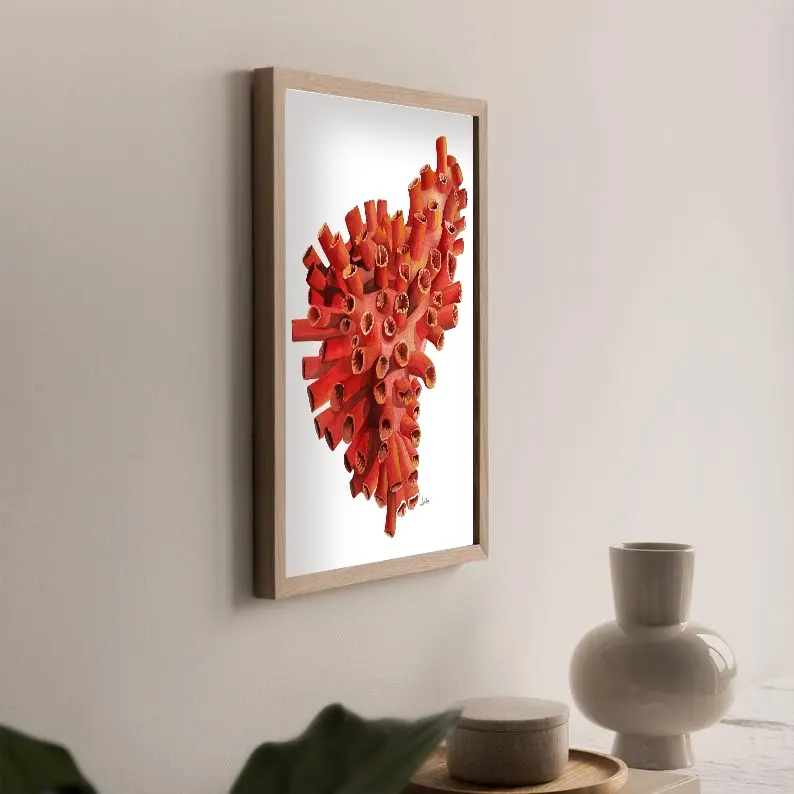 Sun Coral on the wall.