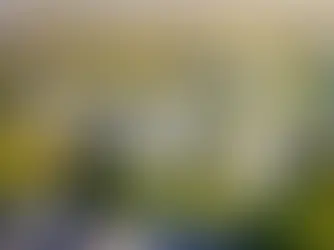 Seasonal Real Estate Photography: Capturing Properties at Their Best