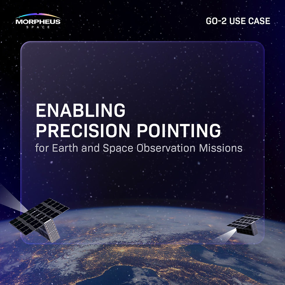 Title - Precision Pointing.jpg