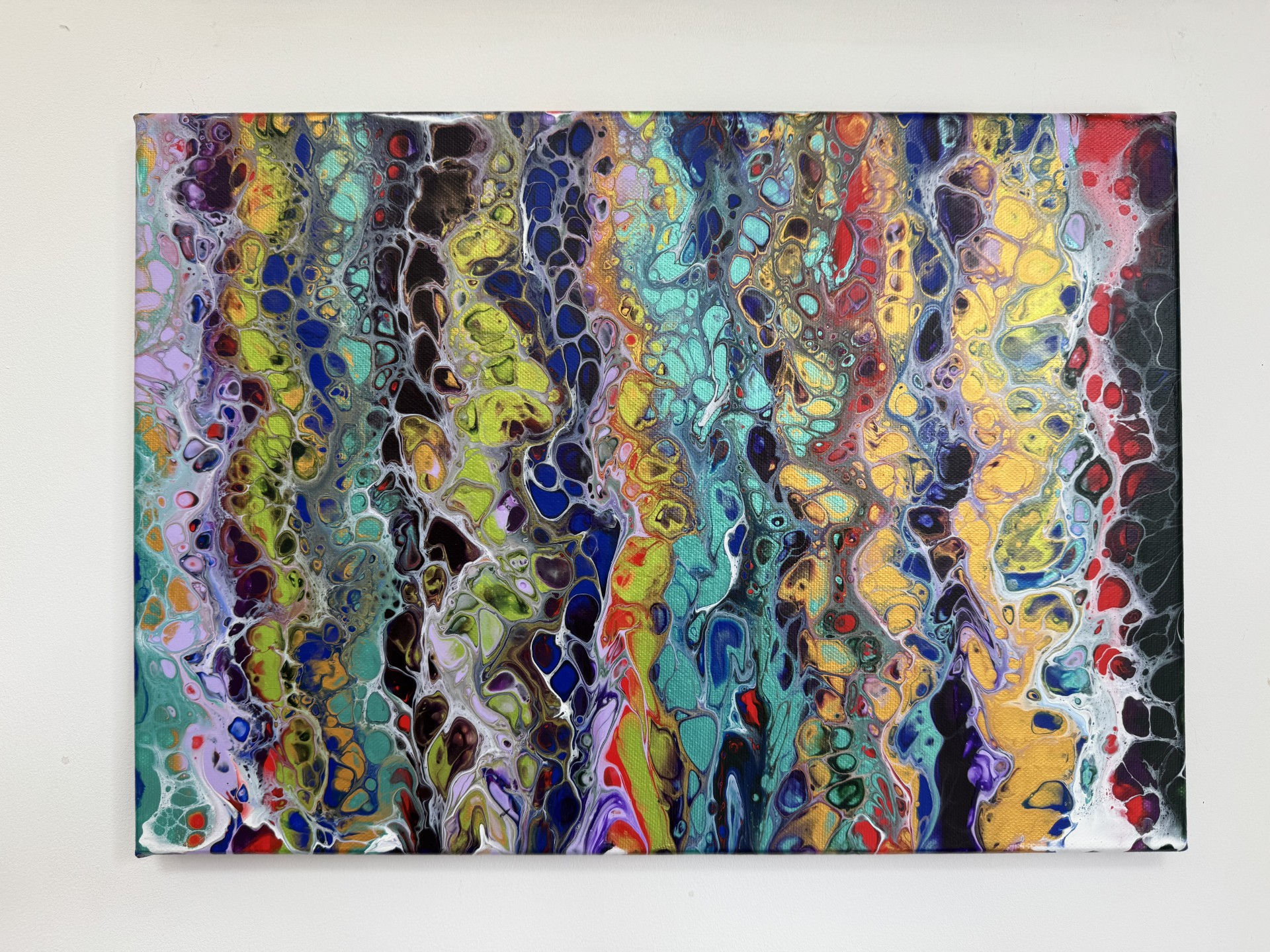 Rainbow Warrior 42 x 30cms. Slim Canvas