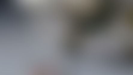 여행업종에서 신혼여행 유저의 전환을 높이는 데이터 활용법