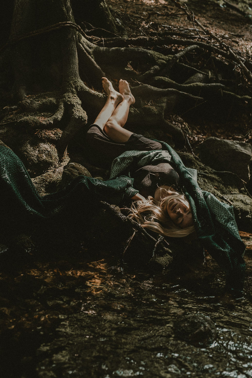 Thumbnail: Les tenebres - Lézard