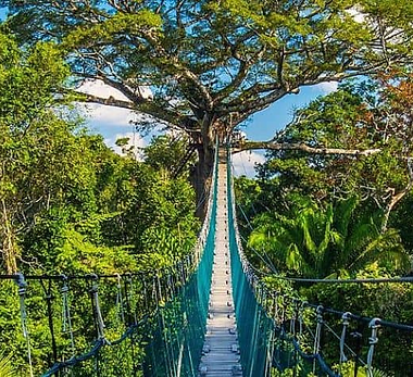 Tambopata (4 días / 3 noches)