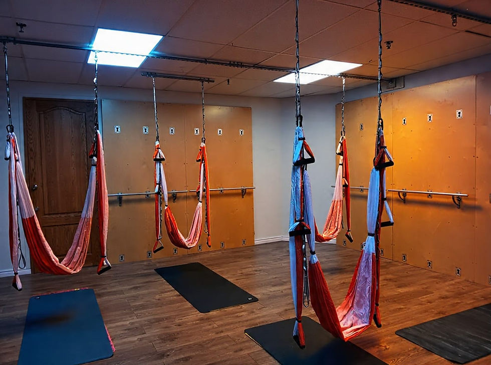 room1.jpg