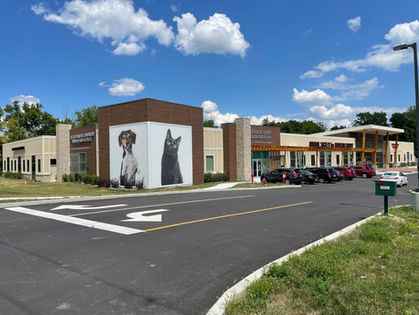 Large Branding Graphics Outside a Building