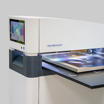 Scan of a framed artwork on a flatbed scanner.