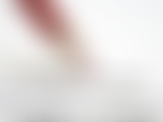 Credit Score Variances