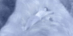 banner.jpg