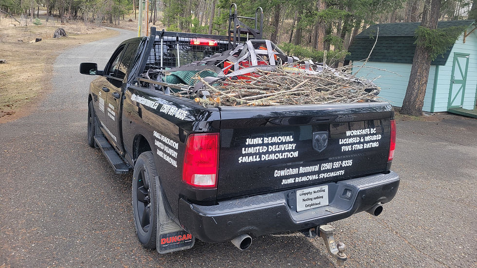 Black pickup truck filled with branches for debris removal