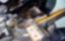 bigera__007.jpg