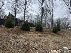 Tree Installation Complete