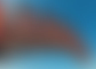 300 Frames per second.