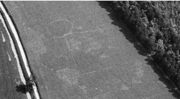 Bishop's Sutton, Scrubs Lane archaeology field markings