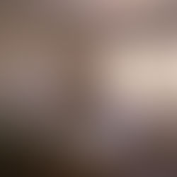 Review: "what do i do?" - abby sunga