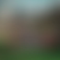 Review: "Wasted On You” - M’Lynn