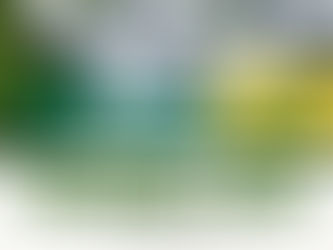 SPY's Newsletter 8/14/23