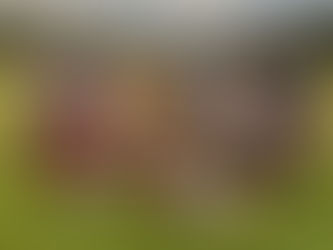 SPY's Newsletter 8/31/22