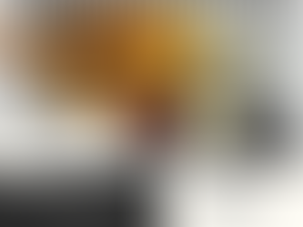 SPY's Newsletter 2/15/26