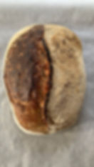 IMG_0500.jpeg
