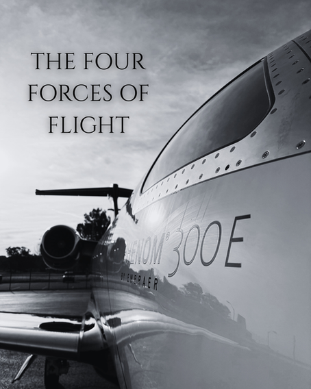 Mini Lesson: The Four Forces of Flight
