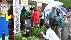 花と野菜苗の交換会の会場風景1