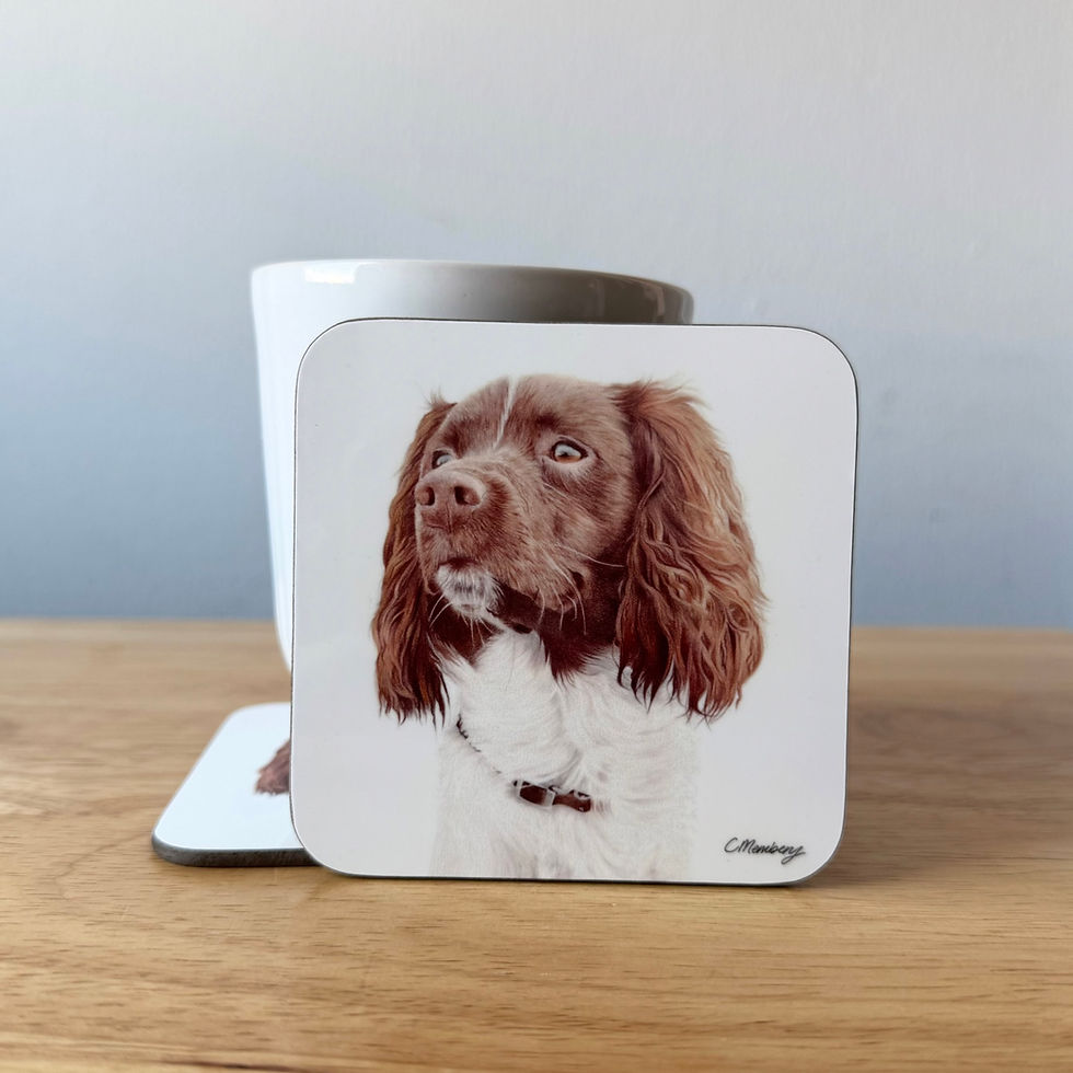 Thumbnail: Coasters featuring realistic  coloured pencil artwork by Catrin Membery, dog breeds set of 4, spaniel