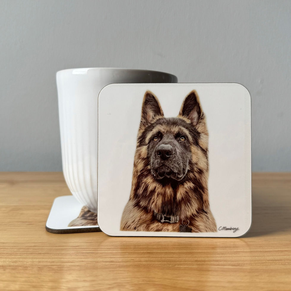 Thumbnail: Coasters featuring realistic  coloured pencil artwork by Catrin Membery, dog breeds set of 4, german shepherd
