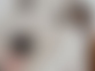 realistic coloured pencil drawing of a white jack russell terrier dog with brown ears
