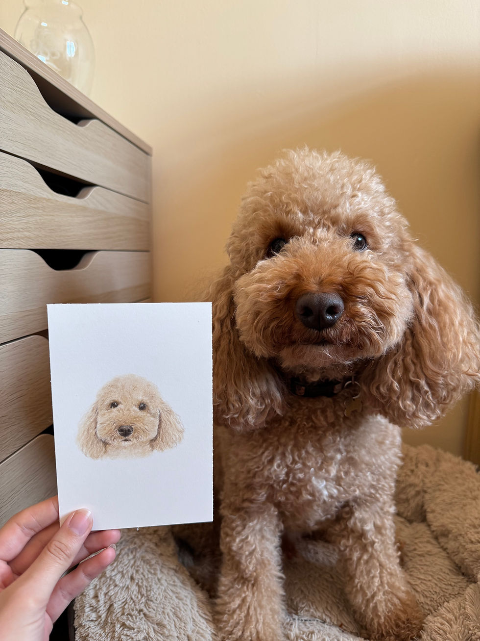 Thumbnail: Live Dog Portraits