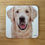 Thumbnail: golden retriever coaster, old stock, printed artwork is bigger than on my new stock