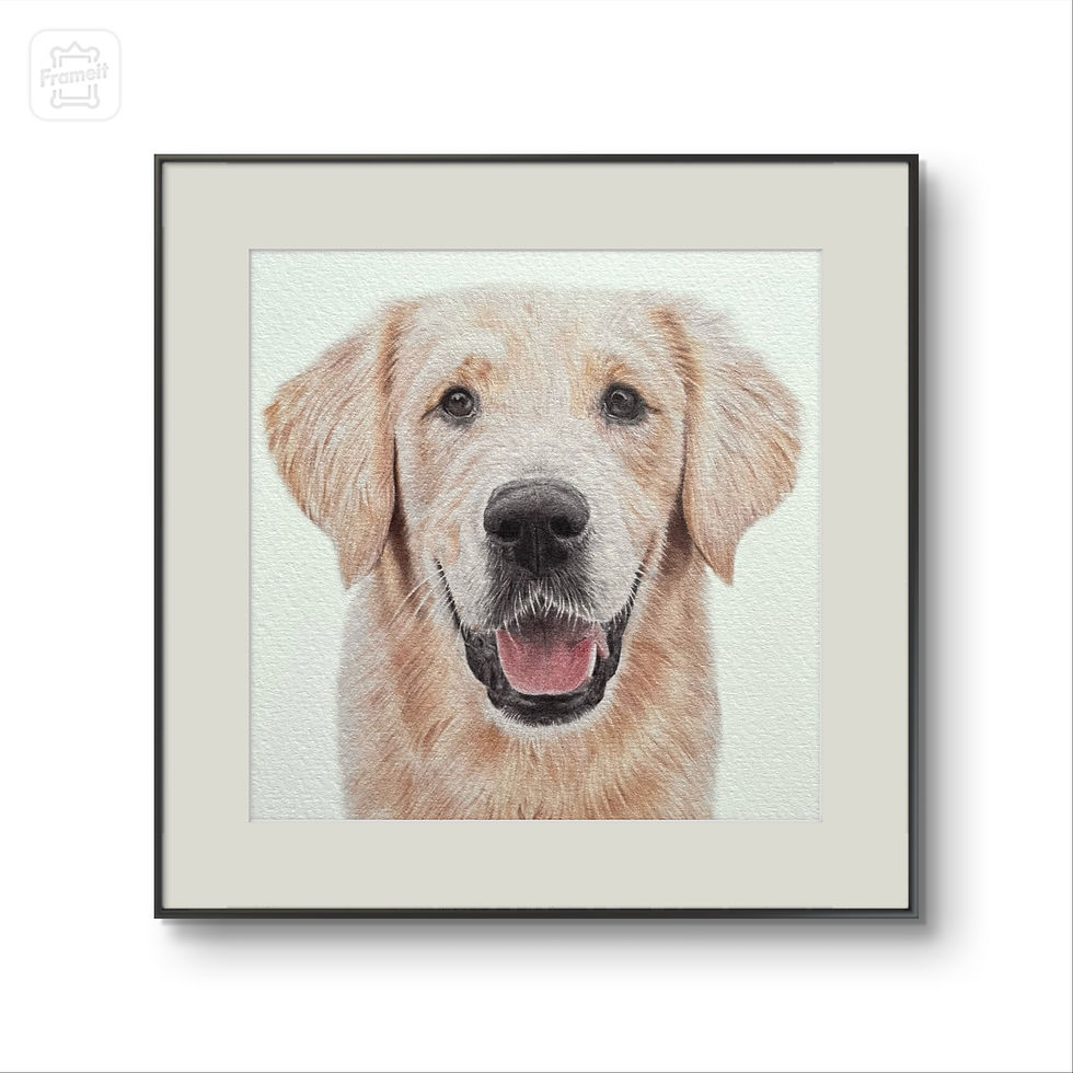 Art Print featuring realistic hand drawn artwork by Catrin Membery, golden retriever
