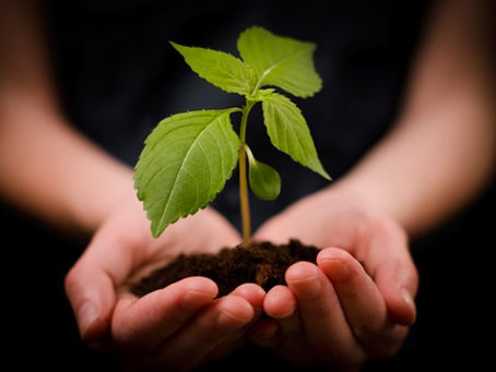 Nachhaltigkeit ist wichtig