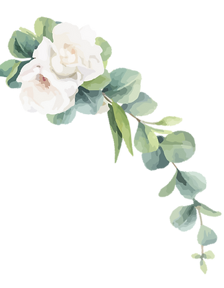 AdobeStock_739825254_2_edited.png