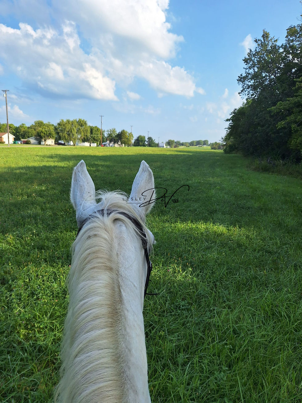 Between the Ears
