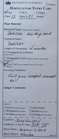 Dahliax3-EntryCard.jpeg