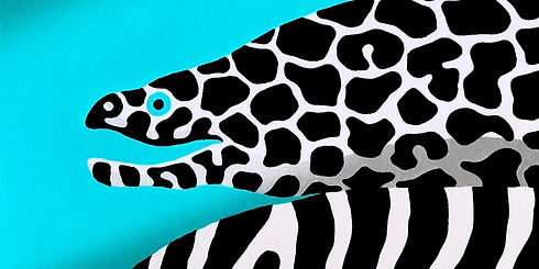 eels sneak peek_edited.jpg