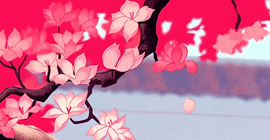 cherry blossom fall