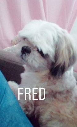 Fred