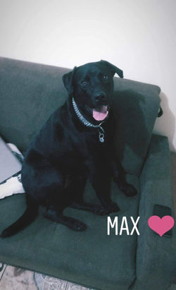 Max