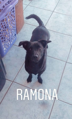 Ramona