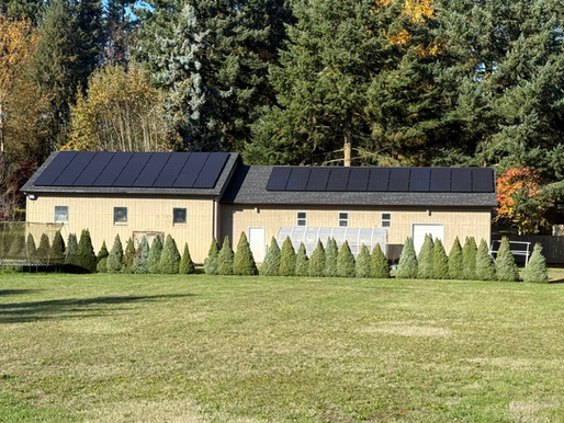 Owning vs. Leasing Solar: A Simple Guide for Oregon Homeowners