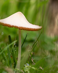 4X2A5065.jpg
