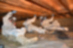 c and m crawlspace repair services serving central NC: raleigh, knightdale, garner, clayton, chapel hill, apex and more