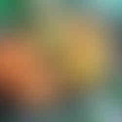 Mix greens, pineapple, mango, red onions, cucumbers and avocado tossed in a maracuya vinaigrette